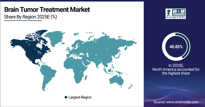 Brain Tumor Treatment Market Share by Region