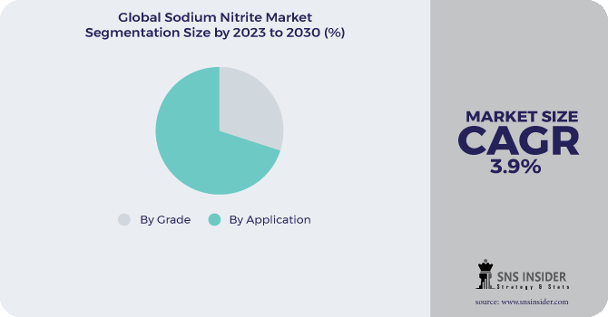 Sodium Nitrite Market Segmentation Analysis