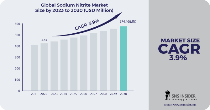 Sodium Nitrite Market Revenue Analysis