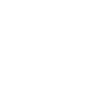 BYD Auto Co. Ltd