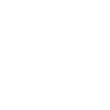 Cisco Systems Inc.