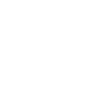 Texas Instruments Inc.