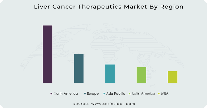 Liver Cancer Therapeutics Market By Region