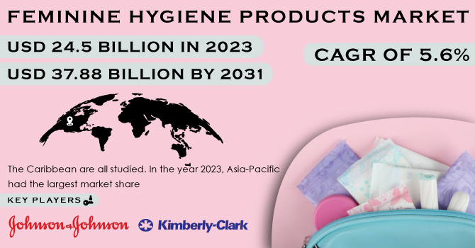 Feminine Hygiene Products Market Revenue Analysis