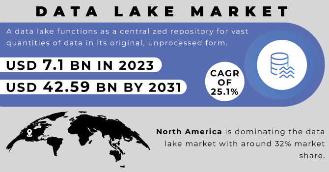 Data Lake Market Revenue Analysis