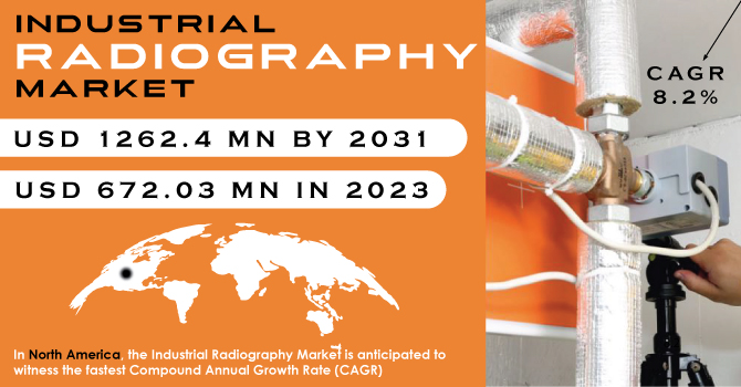 Industrial Radiography Market Revenue Analysis
