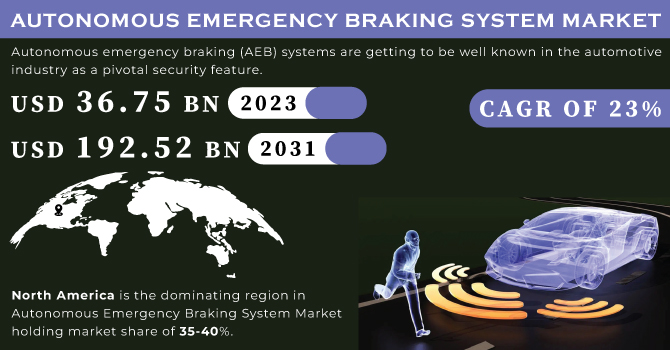 Autonomous Emergency Braking System Market Revenue Analysis