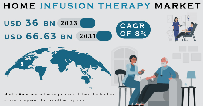 Home Infusion Therapy Market Revenue Analysis