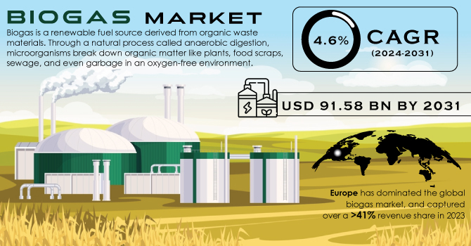 Biogas-Market Revenue Analysis