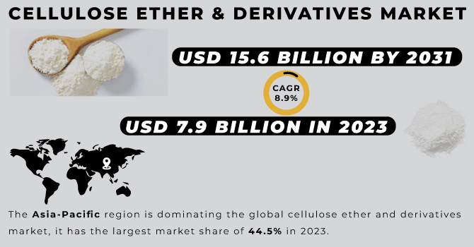 Cellulose Ether & Derivatives Market Revenue Analysis