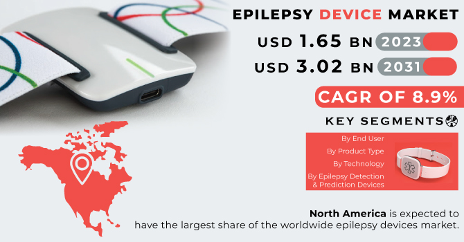 Epilepsy Device Market Revenue Analysis