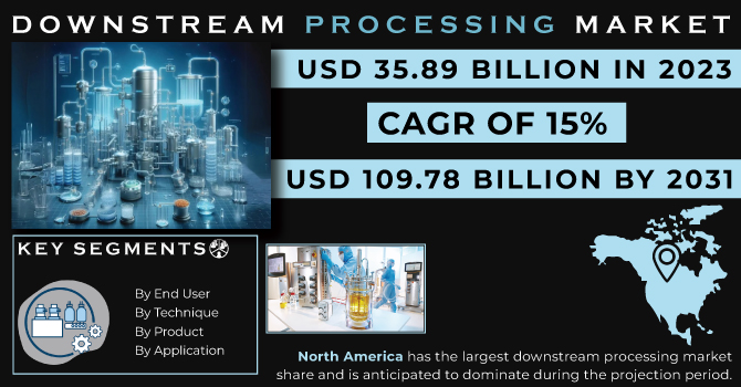 Downstream Processing Market Revenue Analysis