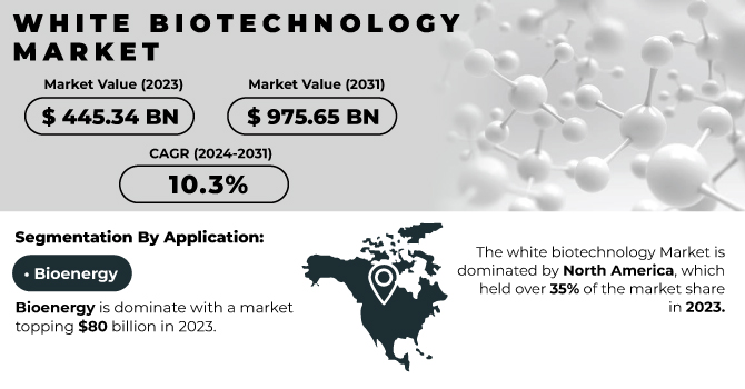 White-Biotechnology-Market Revenue Analysis