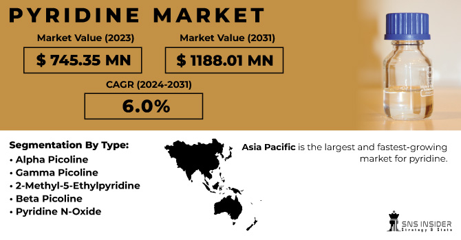 Pyridine Market Revenue Analysis