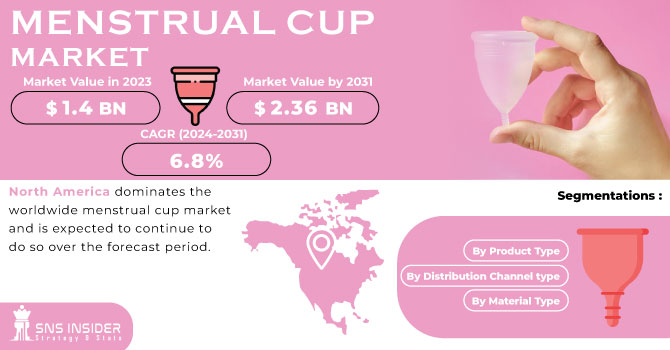 Menstrual Cup Market Revenue Analysis