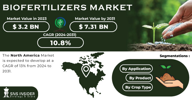 Biofertilizers Market Revenue Analysis