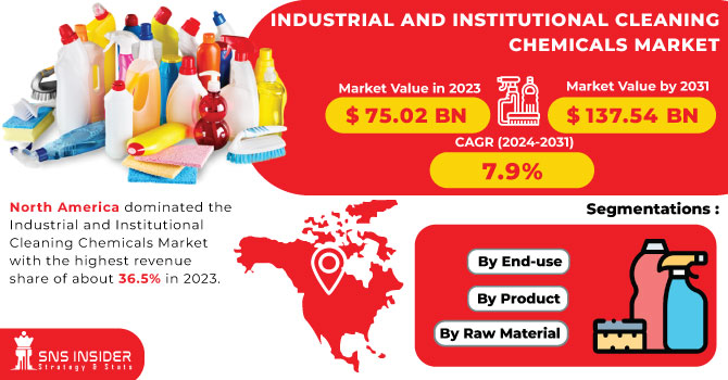 Industrial and Institutional Cleaning Chemicals Market Revenue Analysis