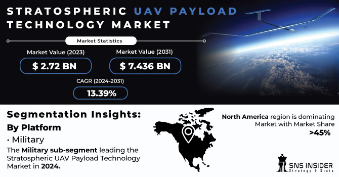 Stratospheric-UAV-Payload-Technology-Market Revenue Analysis