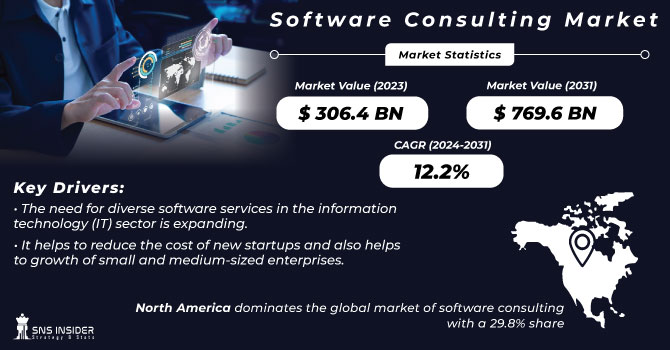 Software Consulting Market Revenue Analysis