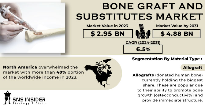 Bone Graft and Substitutes Market Revenue Analysis