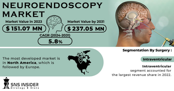 Neuroendoscopy Market Revenue Analysis