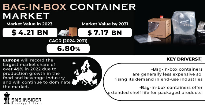 Bag-in-Box Container Market Revenue Analysis