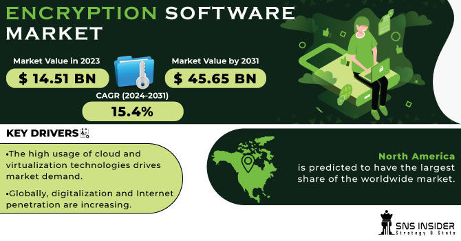 Encryption Software Market Revenue Analysis