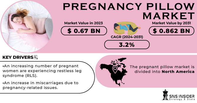 Pregnancy Pillow Market Revenue Analysis