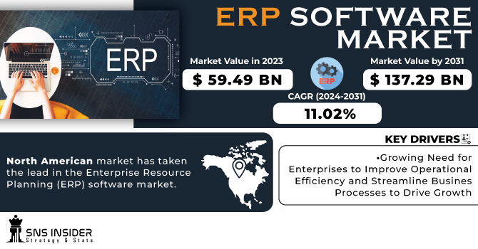 ERP Software Market Revenue Analysis