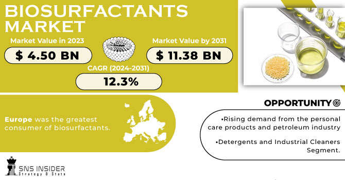 Biosurfactants Market Revenue Analysis