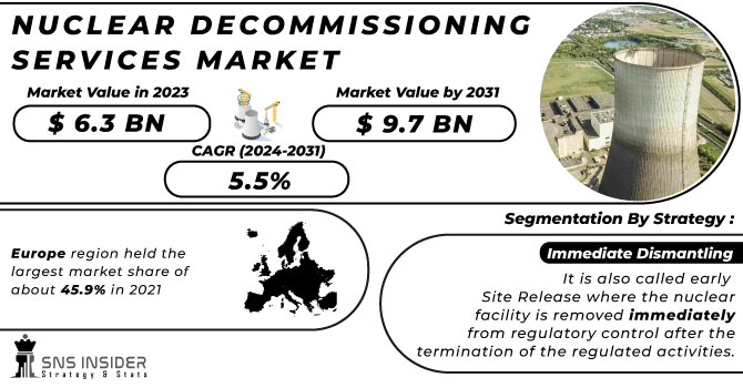 Nuclear Decommissioning Services Market Revenue Analysis