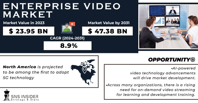 Enterprise Video Market Revenue Analysis