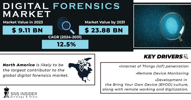 Digital Forensics Market Revenue Analysis