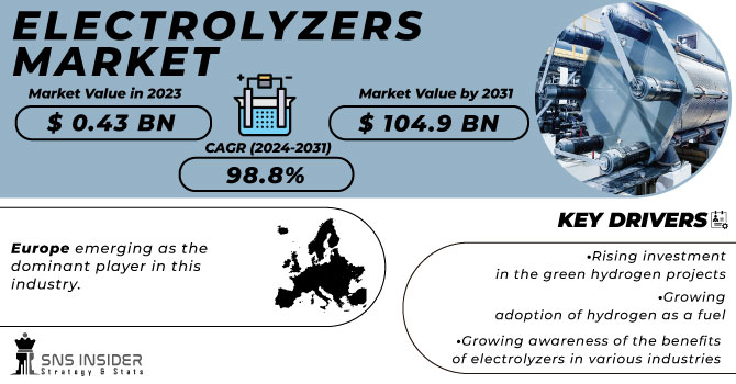 Electrolyzers Market Revenue Analysis