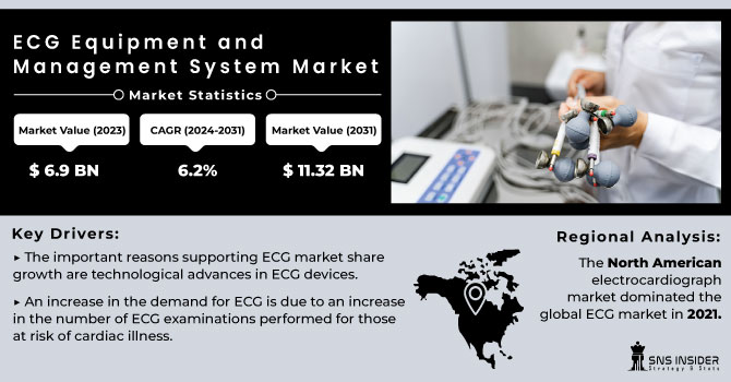 ECG Equipment and Management System Market Revenue Analysis