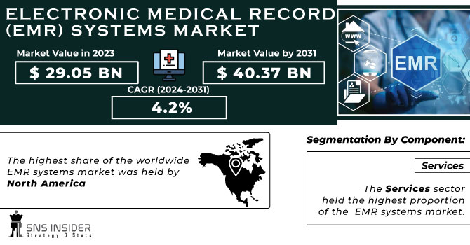 Electronic Medical Record (EMR) Systems Market Revenue Analysis