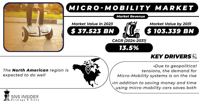 Micro-Mobility Market Revenue Analysis
