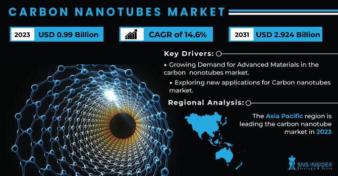 Carbon nanotubes Market Revenue Analysis
