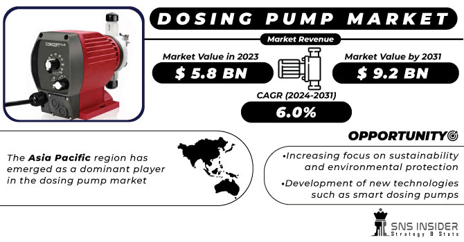 Dosing Pump Market Revenue Analysis
