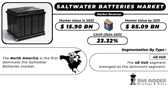 Saltwater Batteries Market Revenue Analysis