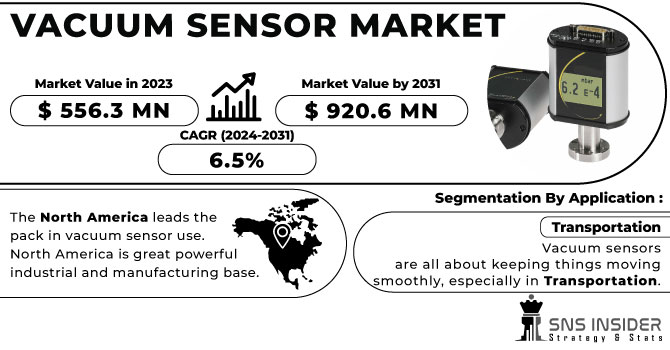 Vacuum Sensor Market Revenue Analysis
