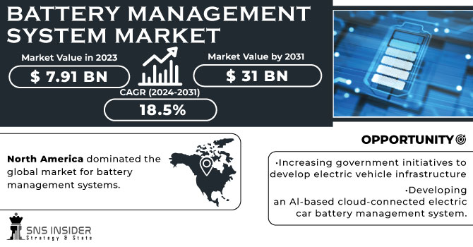 Battery Management System Market Revenue Analysis