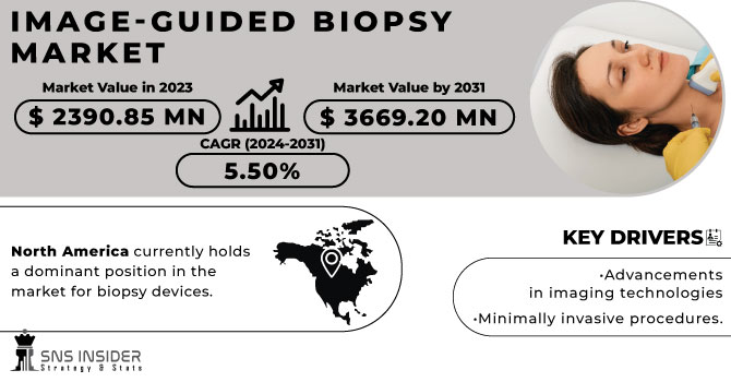 Image-guided Biopsy Market Revenue Analysis