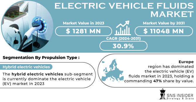 Electric Vehicle Fluids Market Revenue Analysis