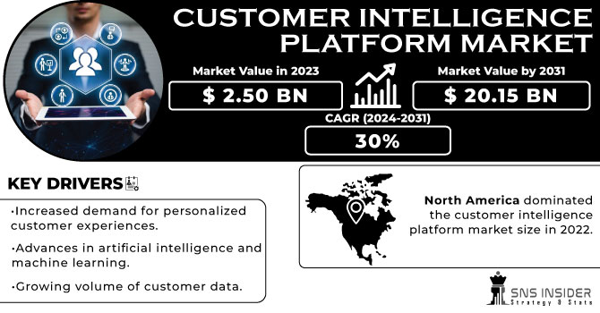 Customer Intelligence Platform Market Revenue Analysis