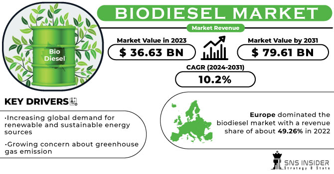Biodiesel Market Revenue Analysis