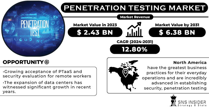 Penetration Testing Market Revenue Analysis