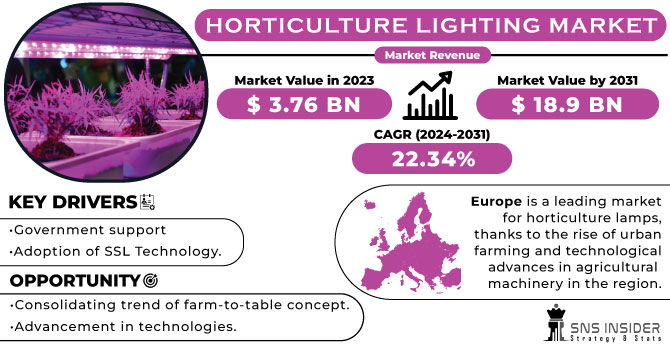 Horticulture Lighting Market Revenue Analysis
