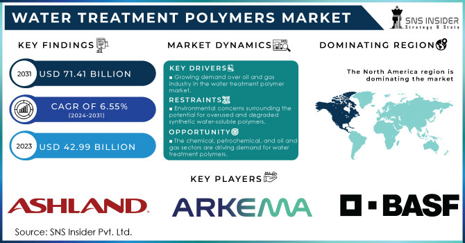 Water Treatment Polymers Market Revenue Analysis