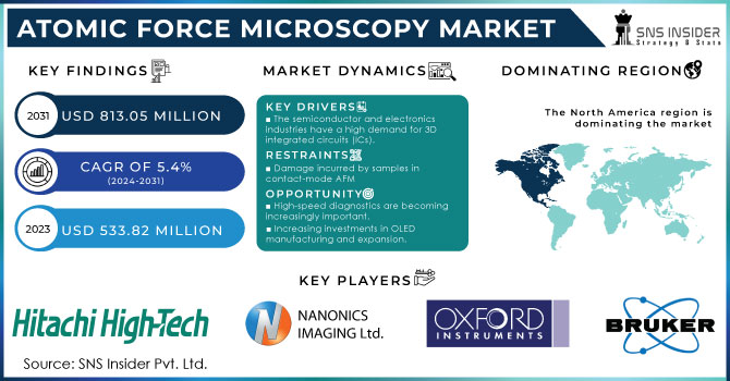 Atomic Force Microscopy Market Revenue Analysis